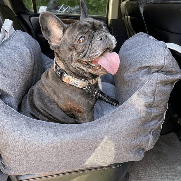 Autositz für Hunde - erste Klasse | Grau